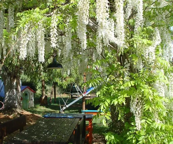 Bed & Breakfast Due Papere *