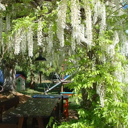 Panzió Due Papere *